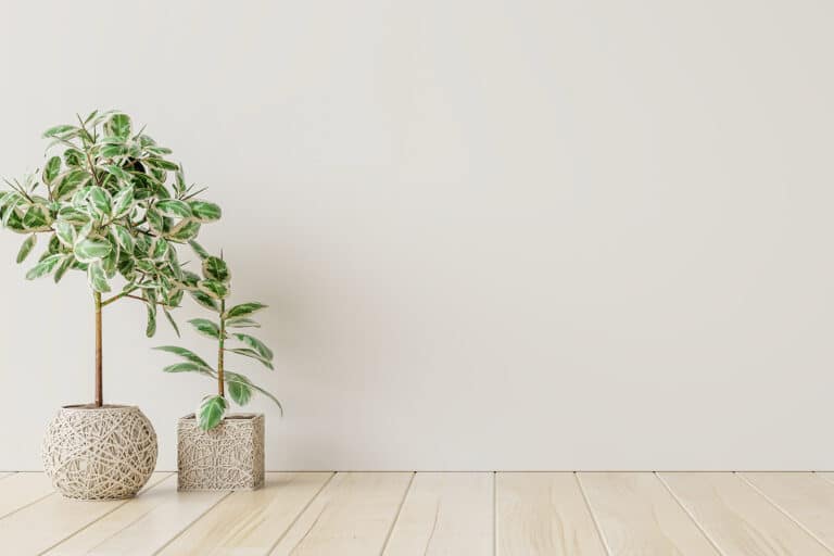 X Service Dödsbostädning